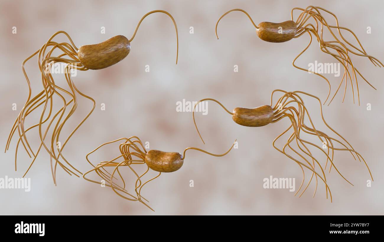 Motile Rods 3d rendering of Pseudomonas fluorescens, It is motile due to the ...