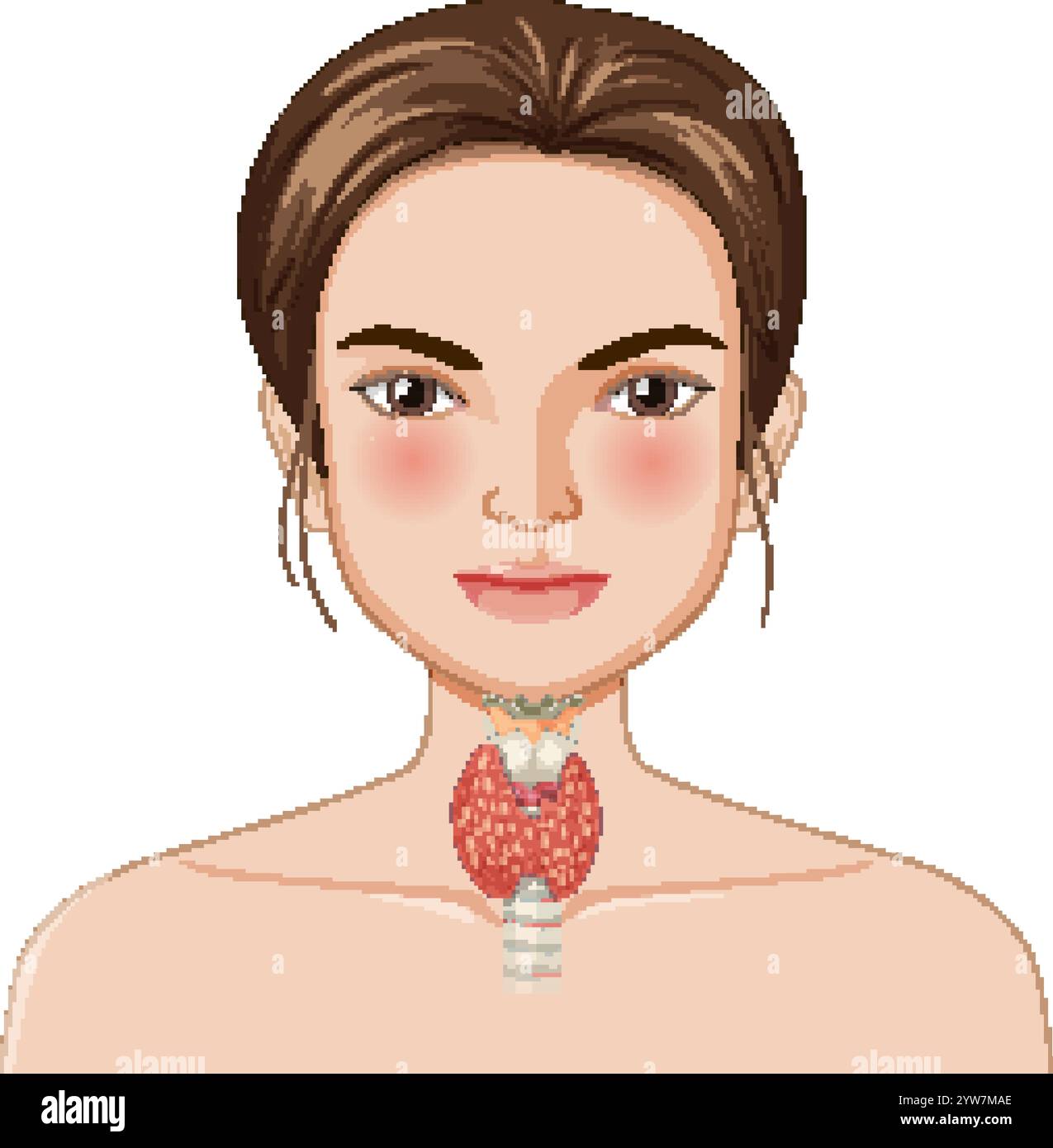 Detailed vector of thyroid gland in human neck Stock Vector