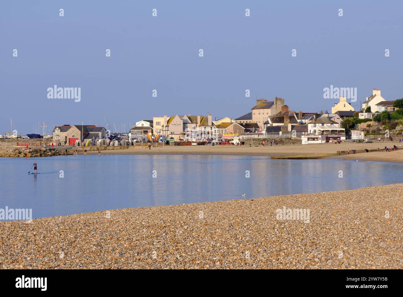 Lyme Regis: Reflections of The Cobb buildings in dead calm sea with paddleboarding soon after sunrise, Lyme Regis on Devon Dorset border, England Stock Photo
