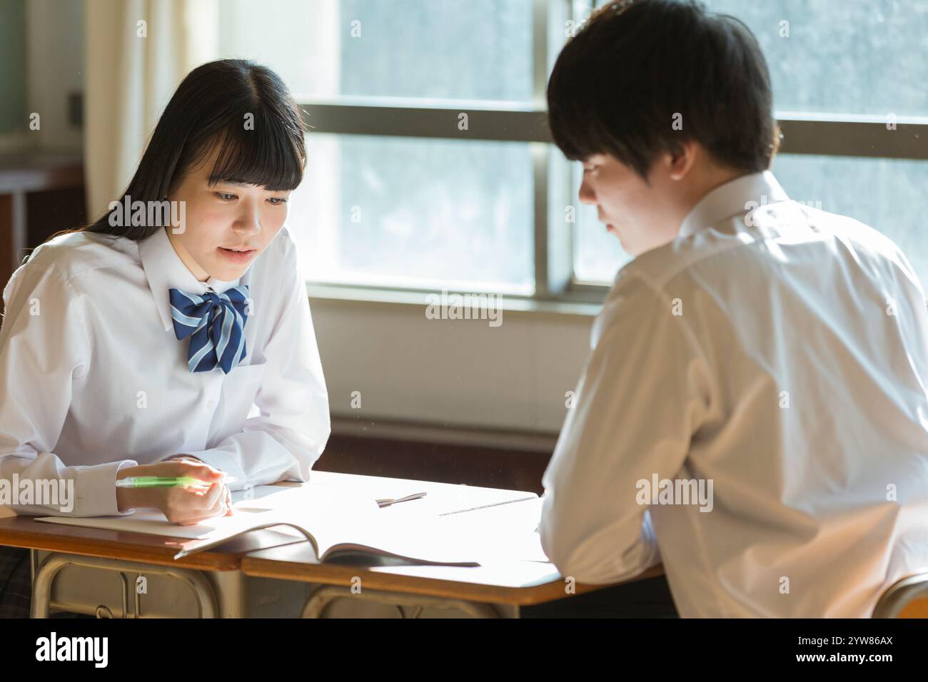 High school girls and boys studying in a classroom Stock Photo - Alamy