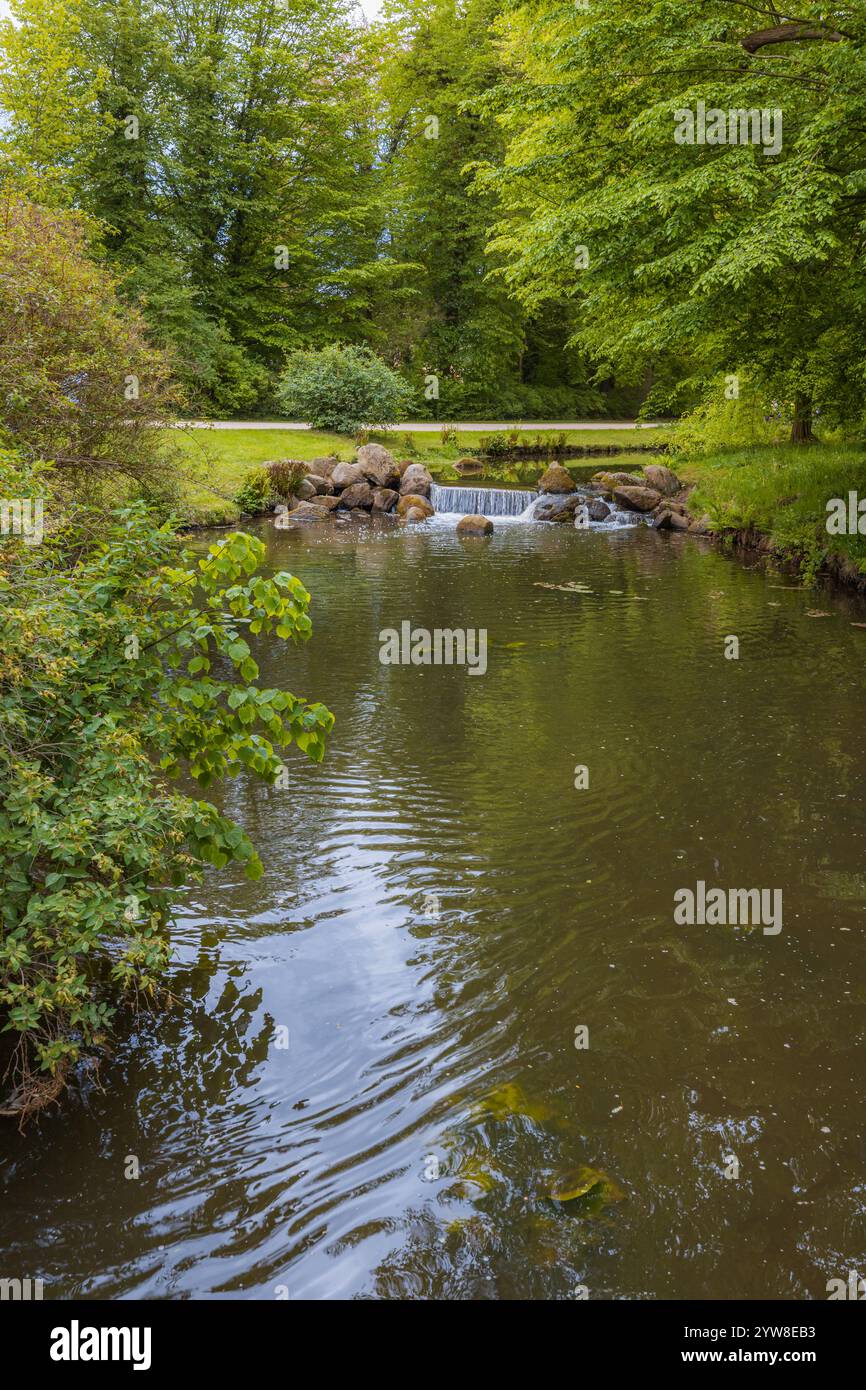 Serene forest pond surrounded hi-res stock photography and images - Alamy