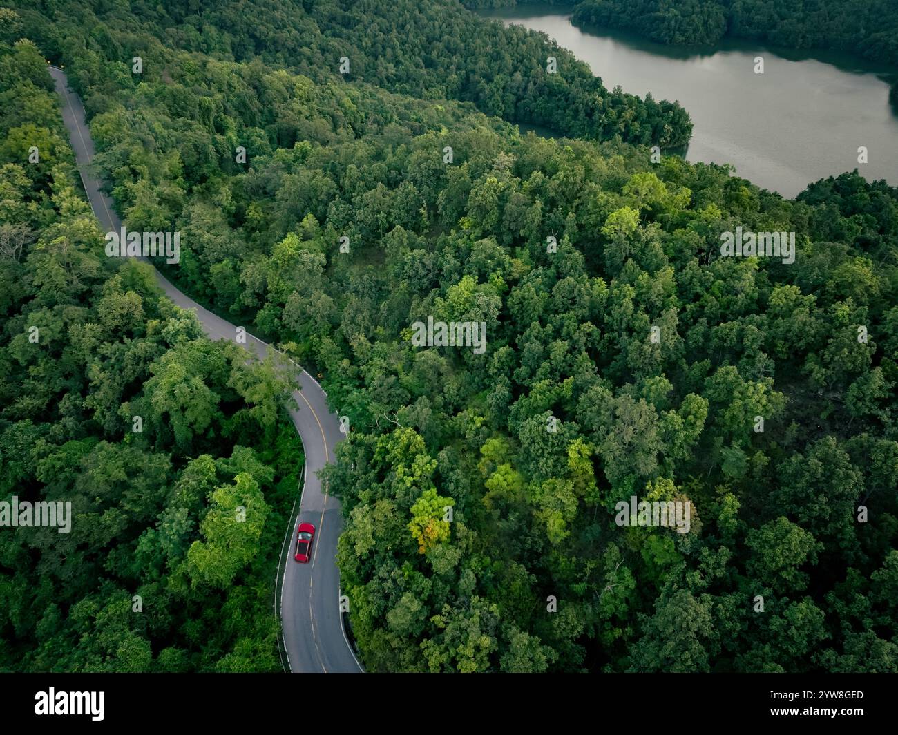 Aerial top view of a red car driving on highway road in green forest ...