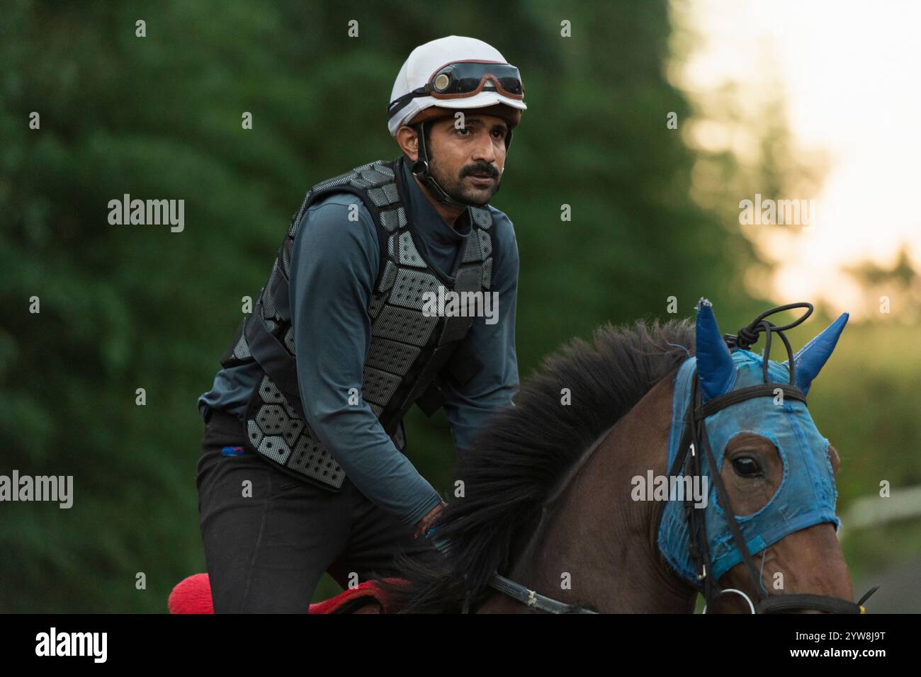 Ranch breaking in a horse hi-res stock photography and images - Alamy