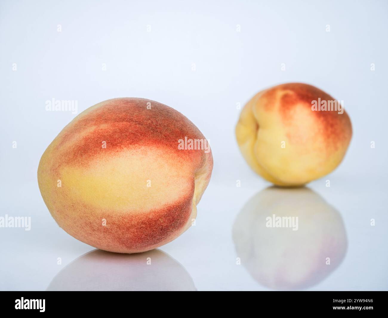 White Swan Peaches Isolated on White Background with Reflection. Stock Photo