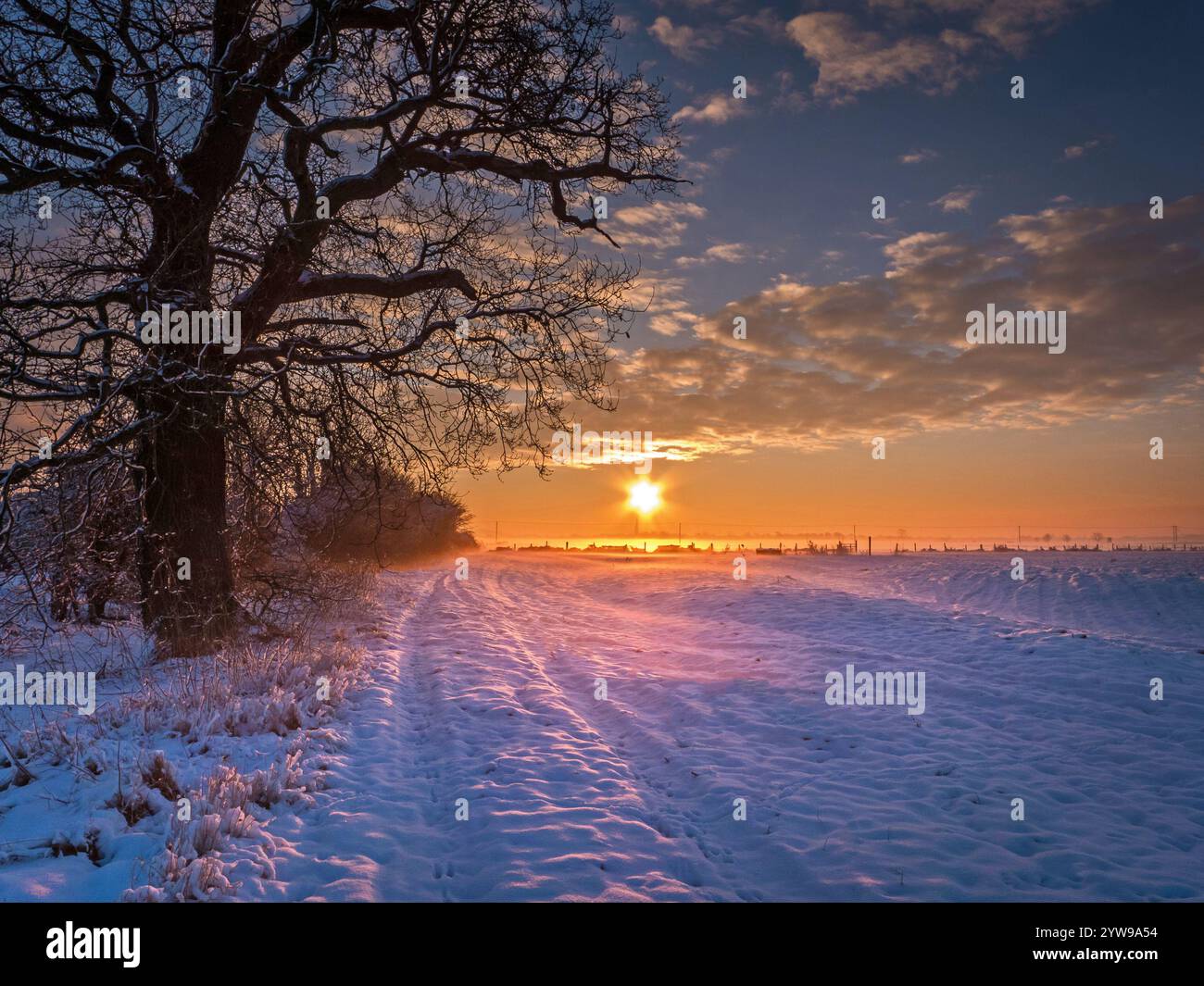 Sunrise over snow covered field hi-res stock photography and images - Alamy