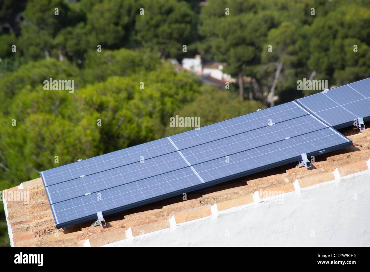 Photovoltaic panel on a roof and pine trees in the background. Solar ...
