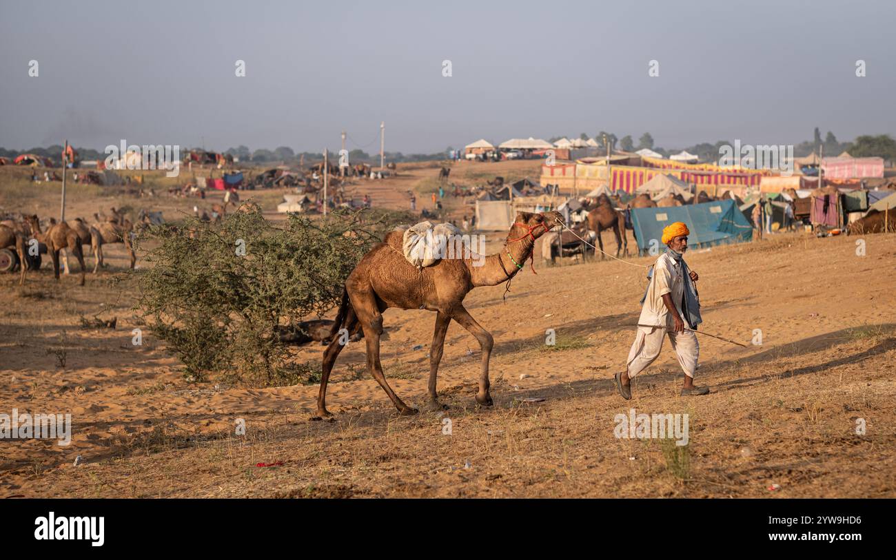 Pushkar camel fair 2024 hi-res stock photography and images - Alamy