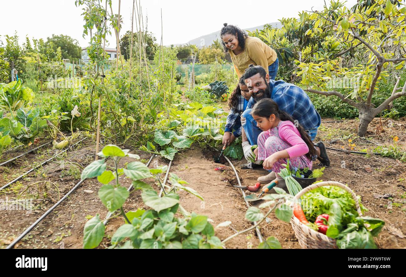 Indian family picking up organic vegetables from house garden outdoor ...