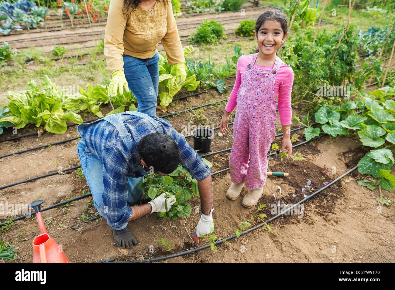 Indian family picking up organic vegetables from house garden outdoor ...