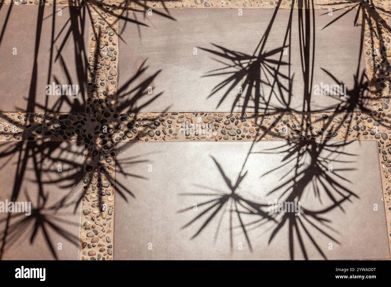 Papyrus leaves cast their shadows on a tiled floor at noon. Stock Photo