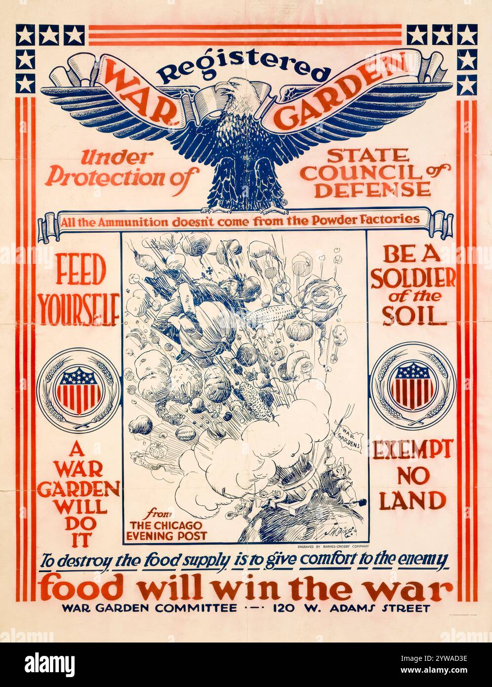 American, WW1, Food Production poster: Registered War Garden, Food will win the war by JN Dingo, 1918 Stock Photo