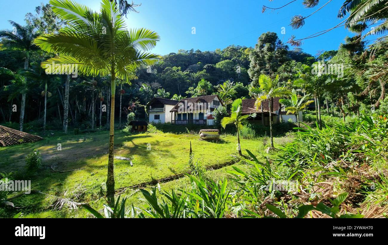 This scene evokes a gentle nostalgia, as though time itself paused to capture a tranquil moment in paradise - Smartphone Captured Stock Image