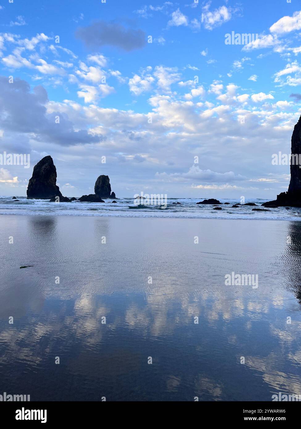 Nature Lover Photography. - Smartphone Captured Stock Image