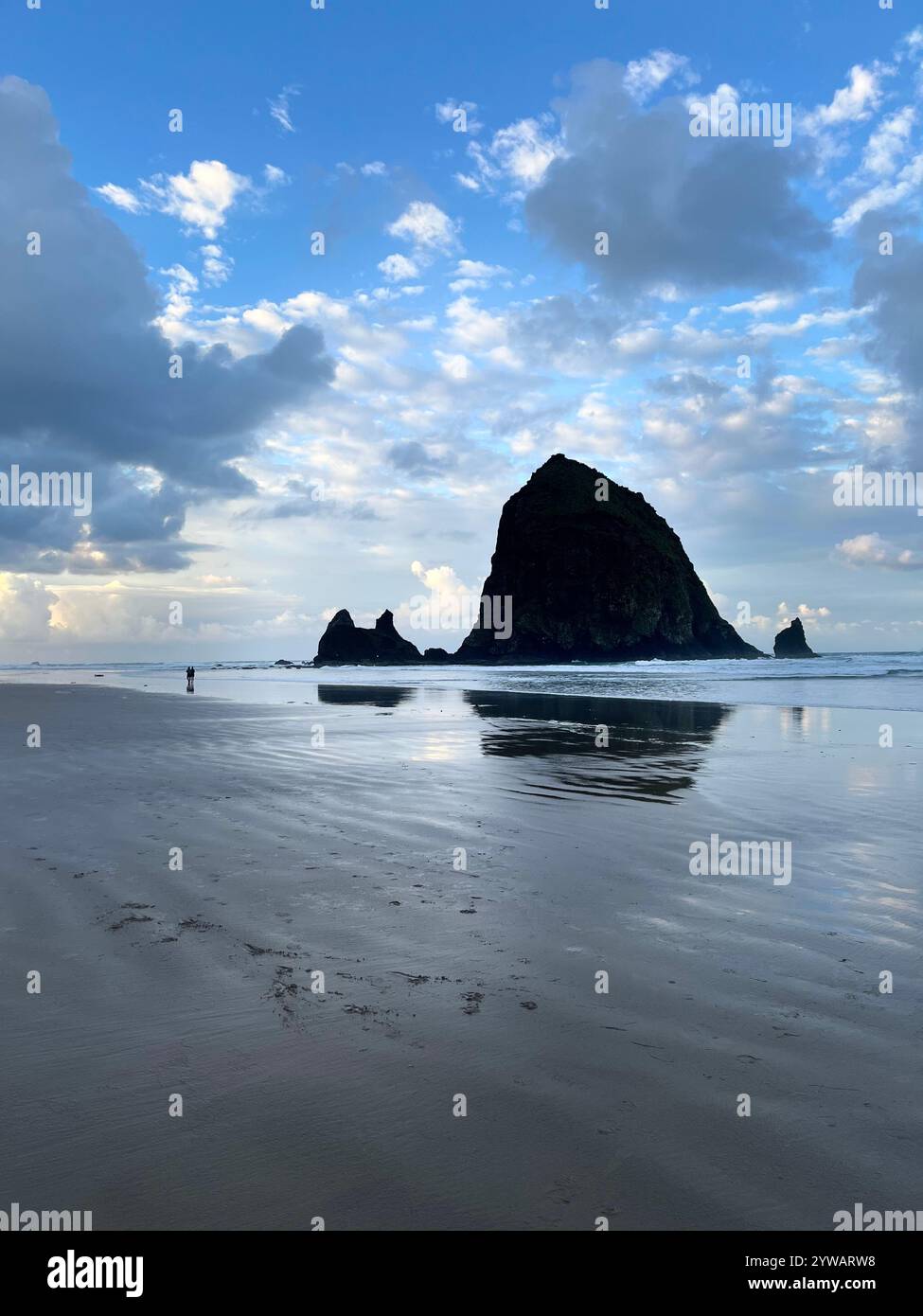 Nature Lover Photography. - Smartphone Captured Stock Image