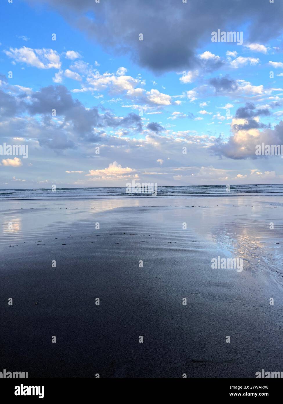 Nature Lover Photography. - Smartphone Captured Stock Image