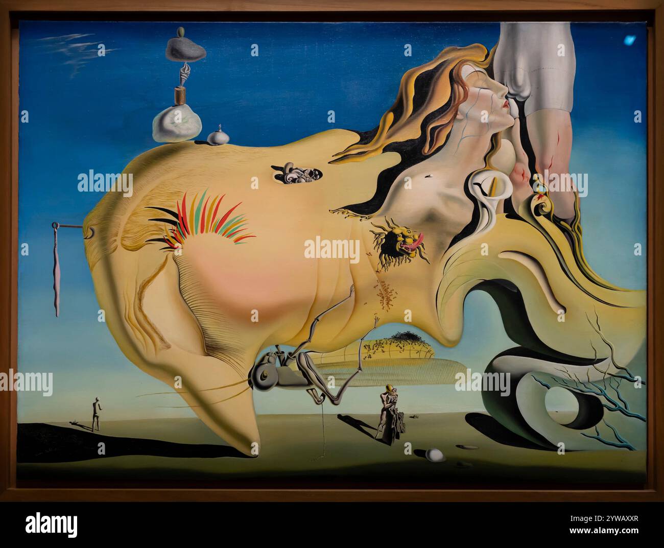 Face great masturbator salvador dali hi-res stock