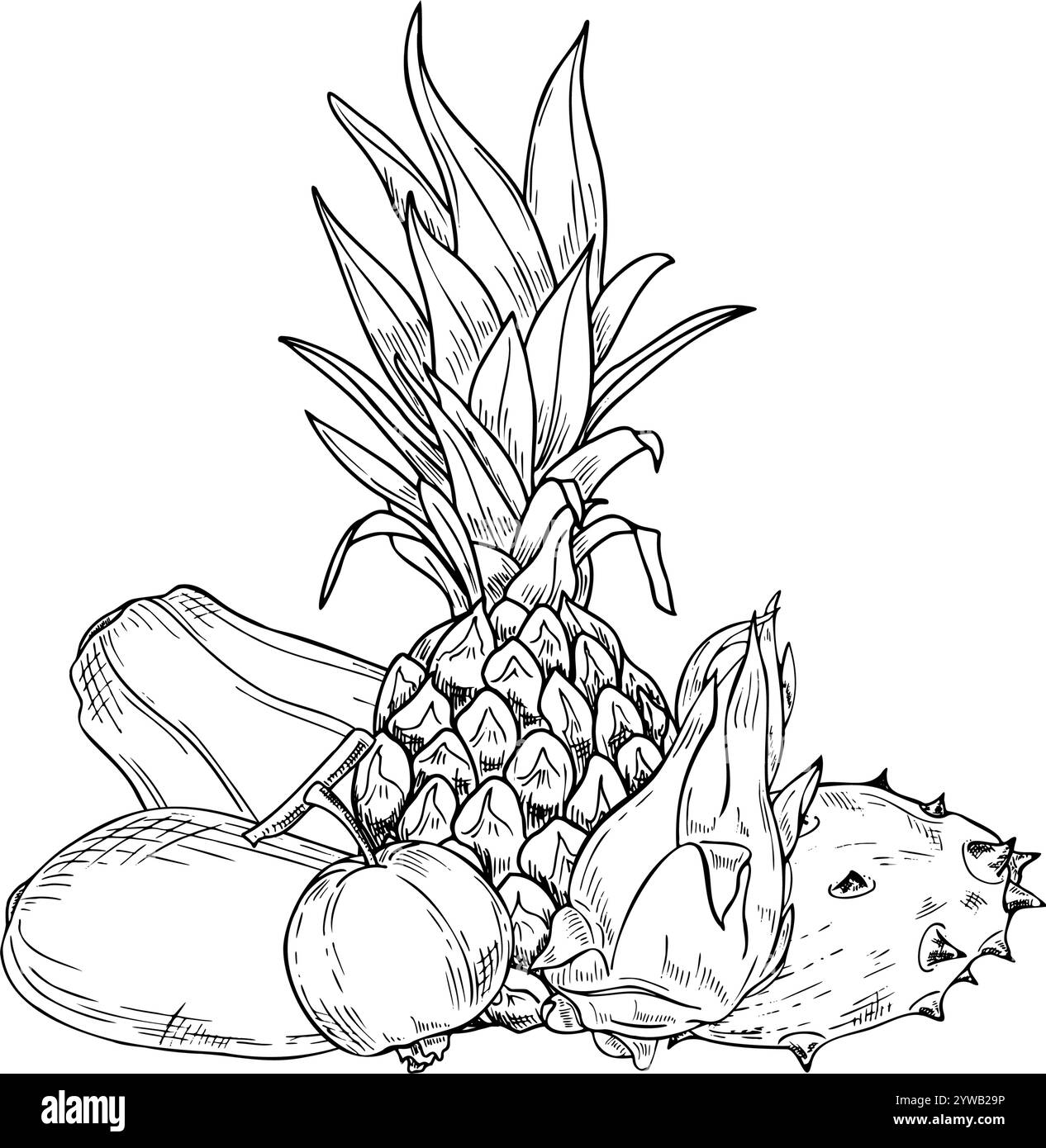 Aromatic tropical ananas, Papaya, kiwano, Pitahaya, guava and mango fruit mix hand drawn black and white vector illustration. Monochrome summer floral Stock Vector