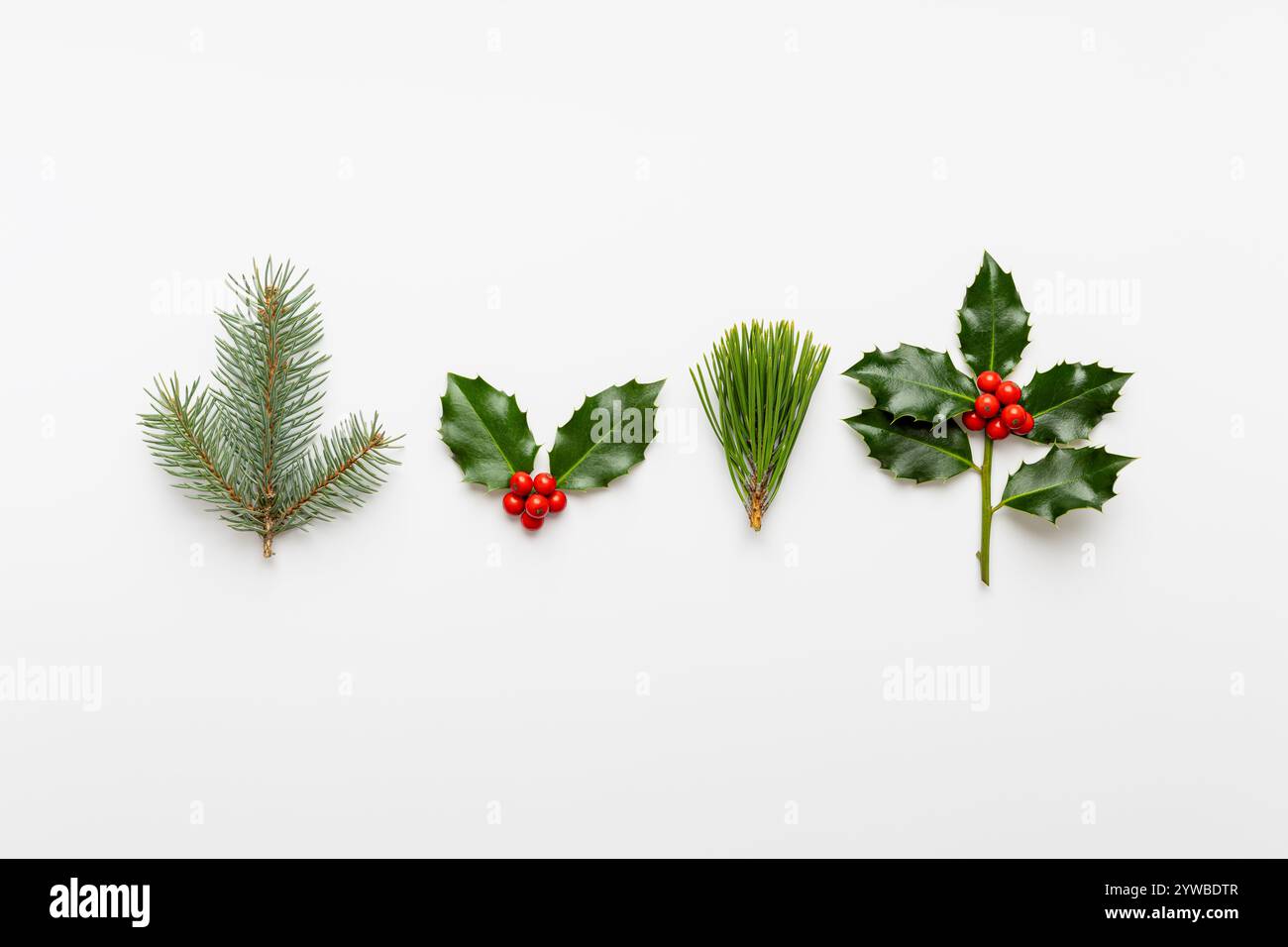 Proflowers christmas plants