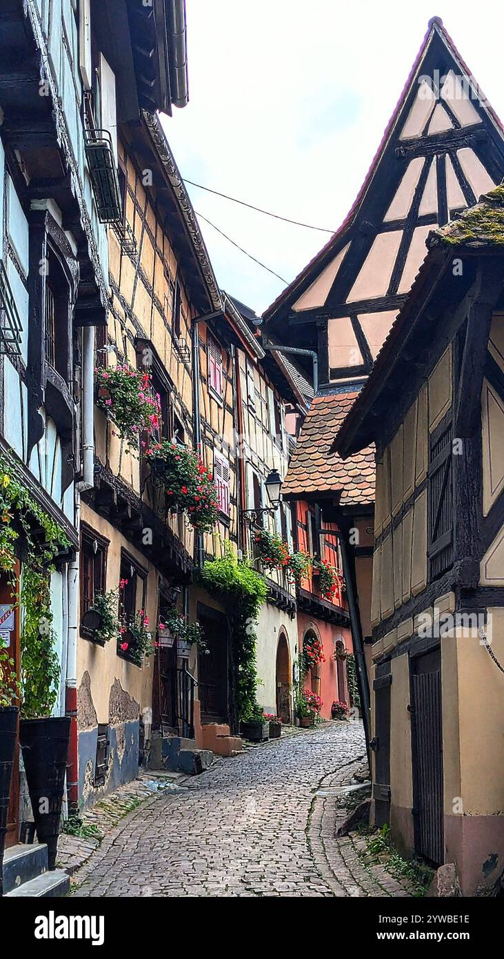 Ruelle pittoresque d'un village médiéval alsacien, bordée de maisons à colombages et de balcons fleuris - Smartphone Captured Stock Image