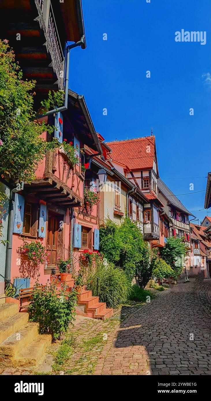 Charmante ruelle d'un village alsacien baignée de soleil, ornée de maisons à colombages, de volets colorés et de fleurs en abondance - Smartphone Captured Stock Image
