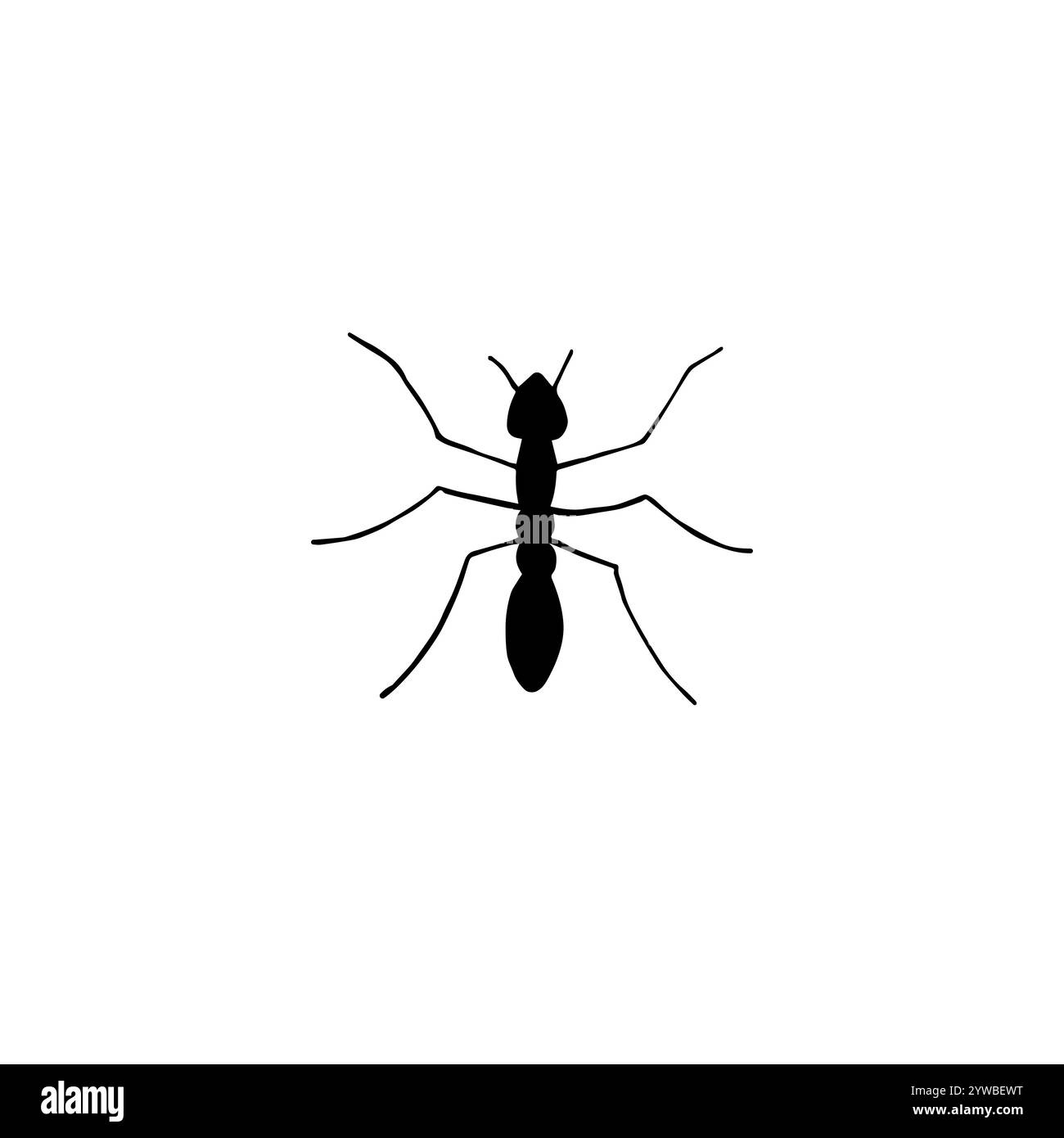 Vector black sketch ant silhouette isolated on white background Stock ...