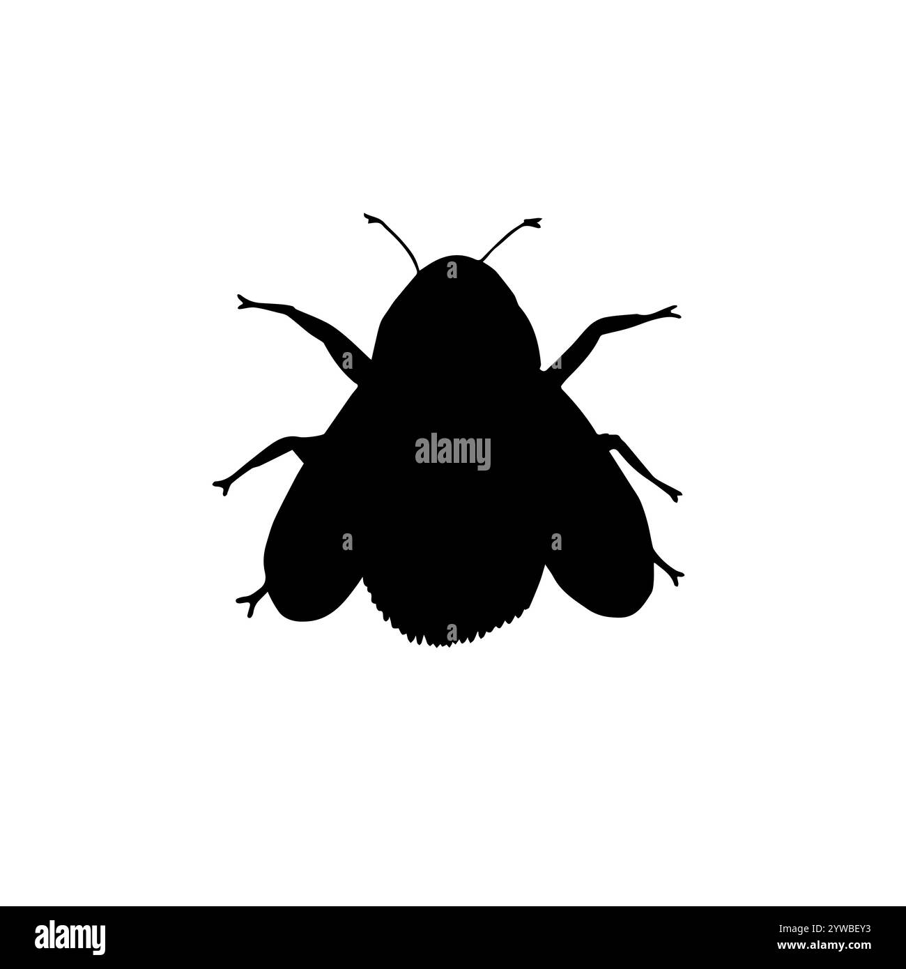 Vector black bumblebee bee silhouette isolated on white background ...