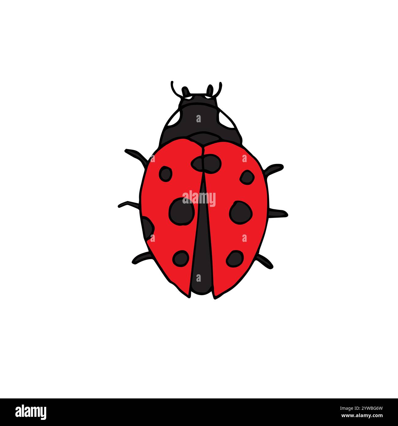 Vector hand drawn doodle sketch red ladybug isolated on white background Stock Vector