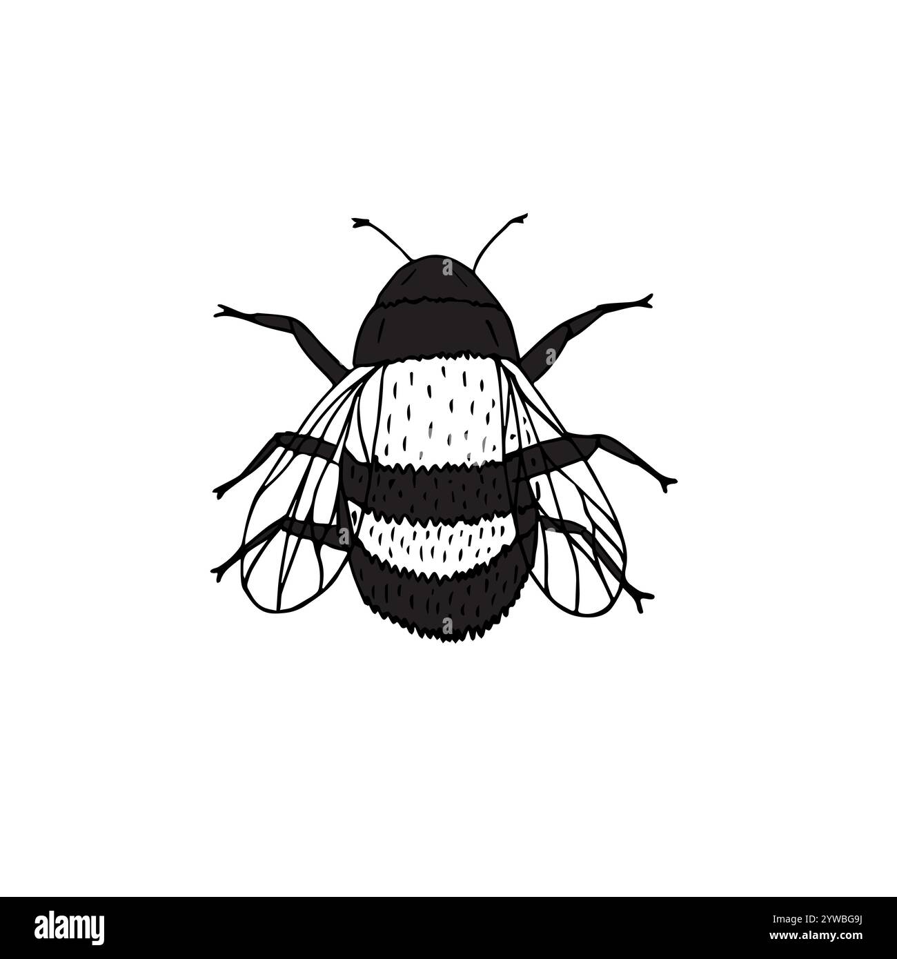 Hand drawn doodle bee hi-res stock photography and images - Alamy