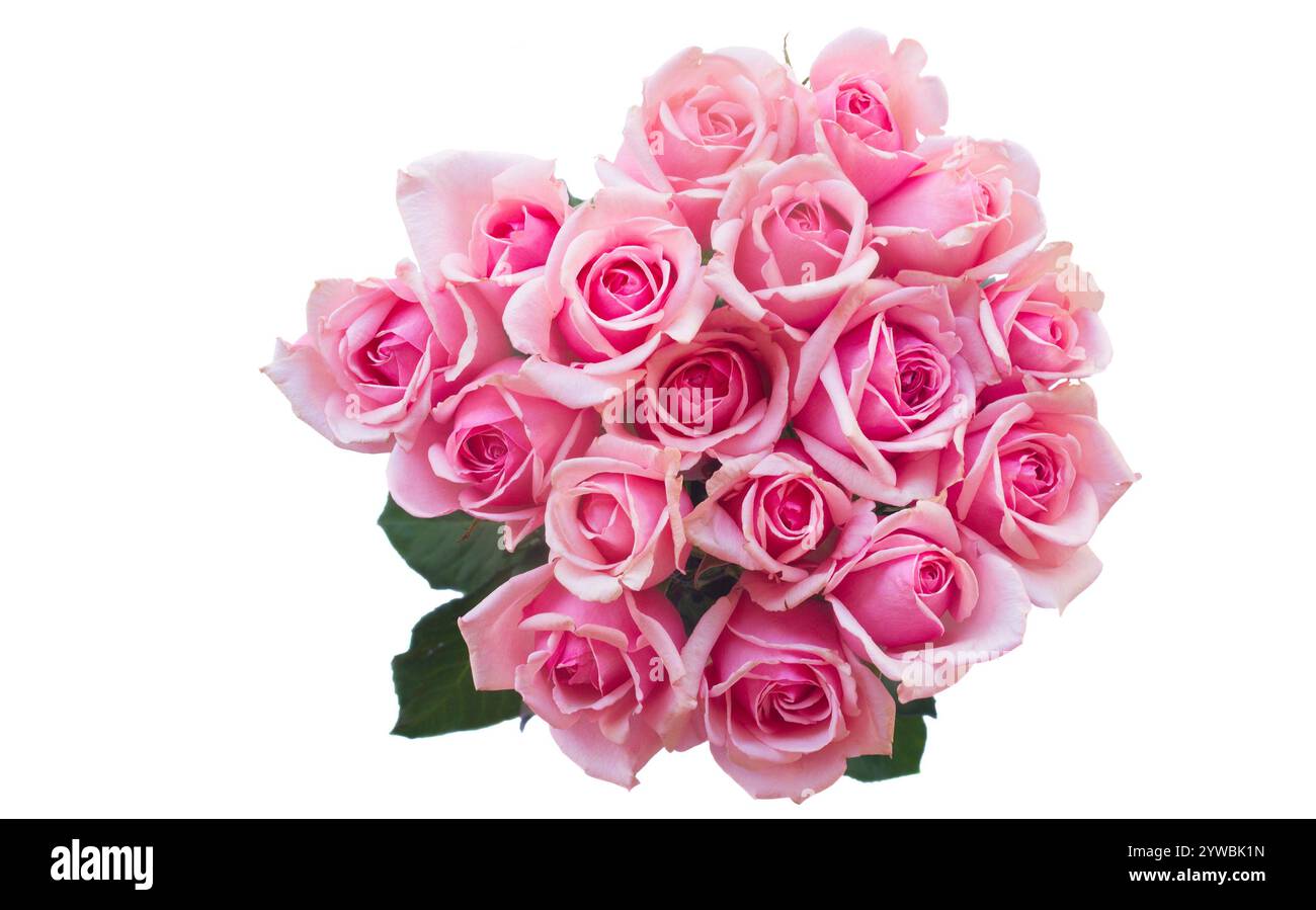 Pink blooming roses bouquet over white background Stock Photo - Alamy