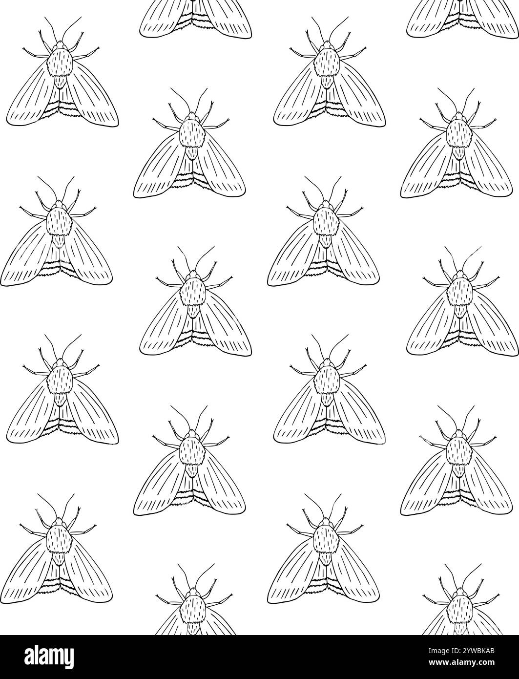 Vector seamless pattern of hand drawn doodle sketch moth isolated on ...