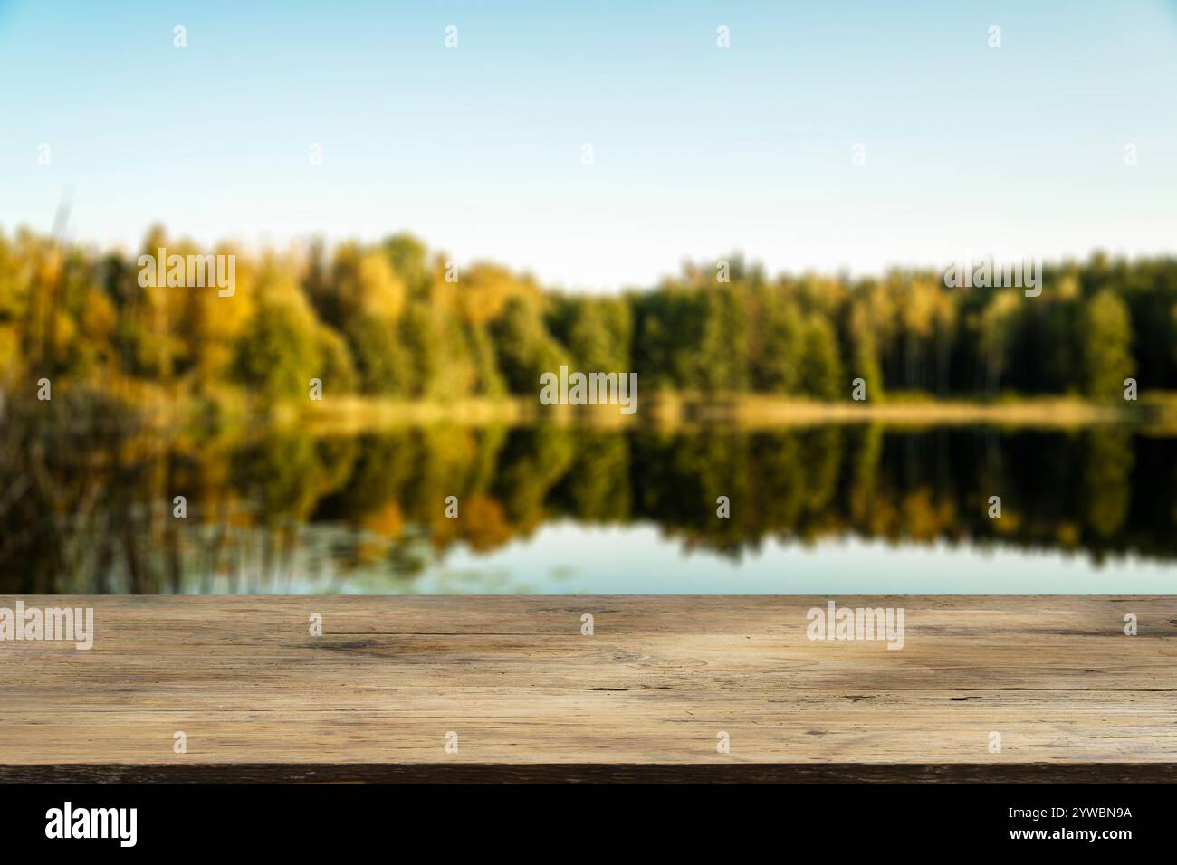Wooden table with forest lake and nature background. Product display ...