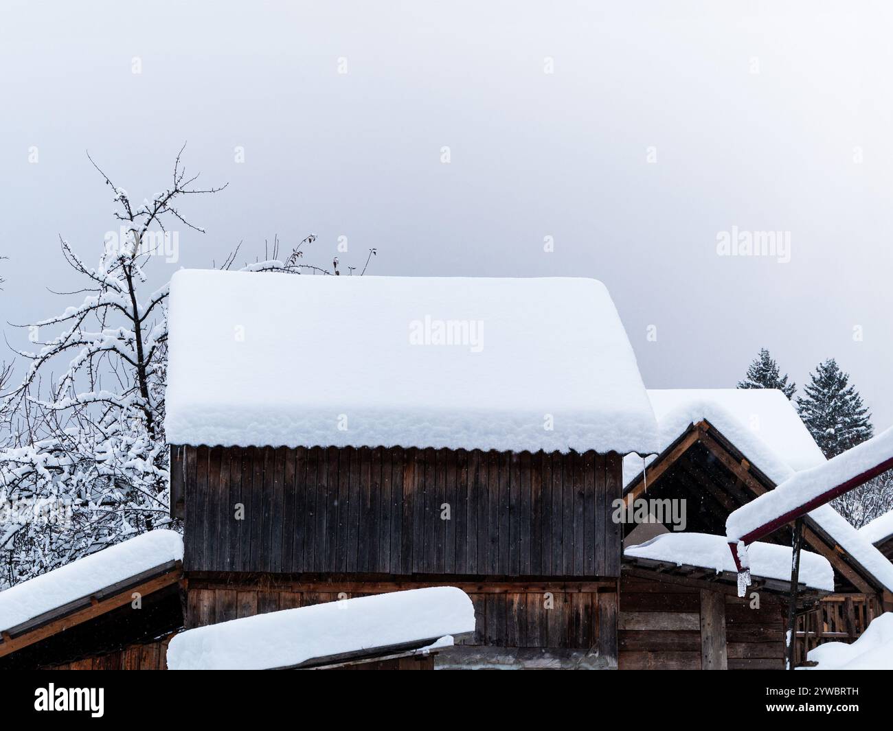 Rustic wooden barn covered with snow. Village in Transcarpathia Ukraine ...