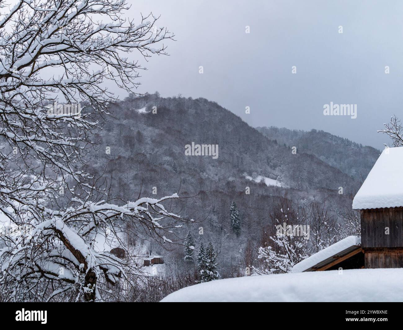 Rustic wooden barn covered with snow. Village in Transcarpathia Ukraine ...