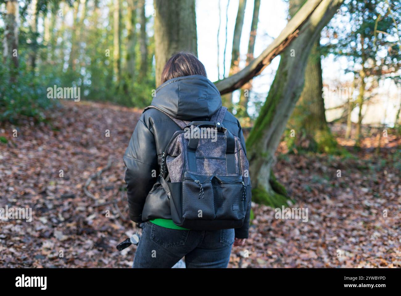 Back view of a woman with a backpack in the middle of a forest Stock ...