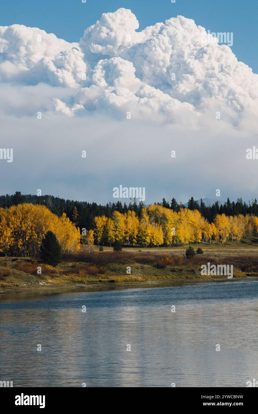 Smoke Over Fall Foliage Stock Photo