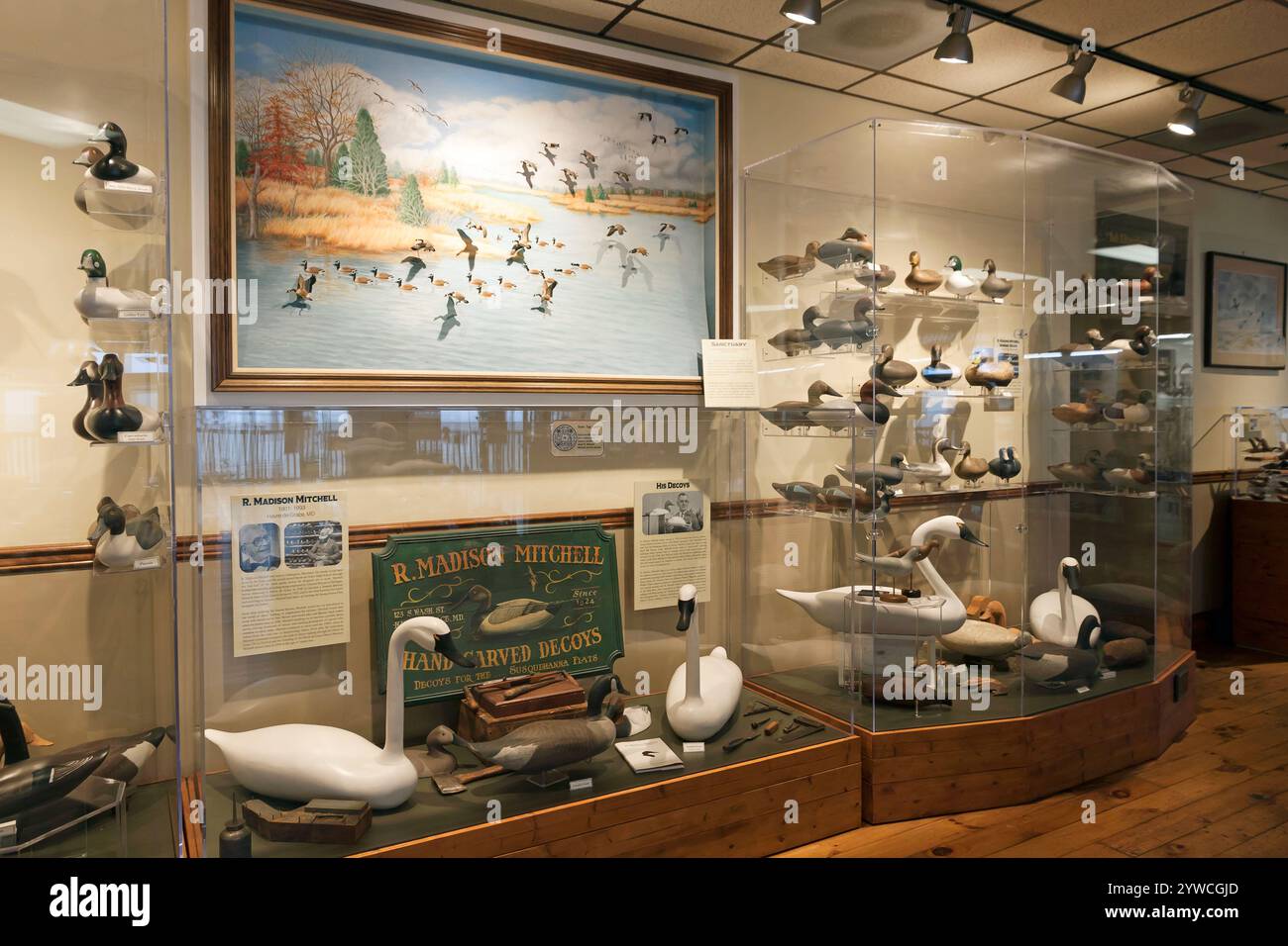 Havre de Grace Decoy Museum, Decoy Capital of the World, Displays Working & Decorative Decoys of the Chesapeake Bay in Maryland, USA. Stock Photo