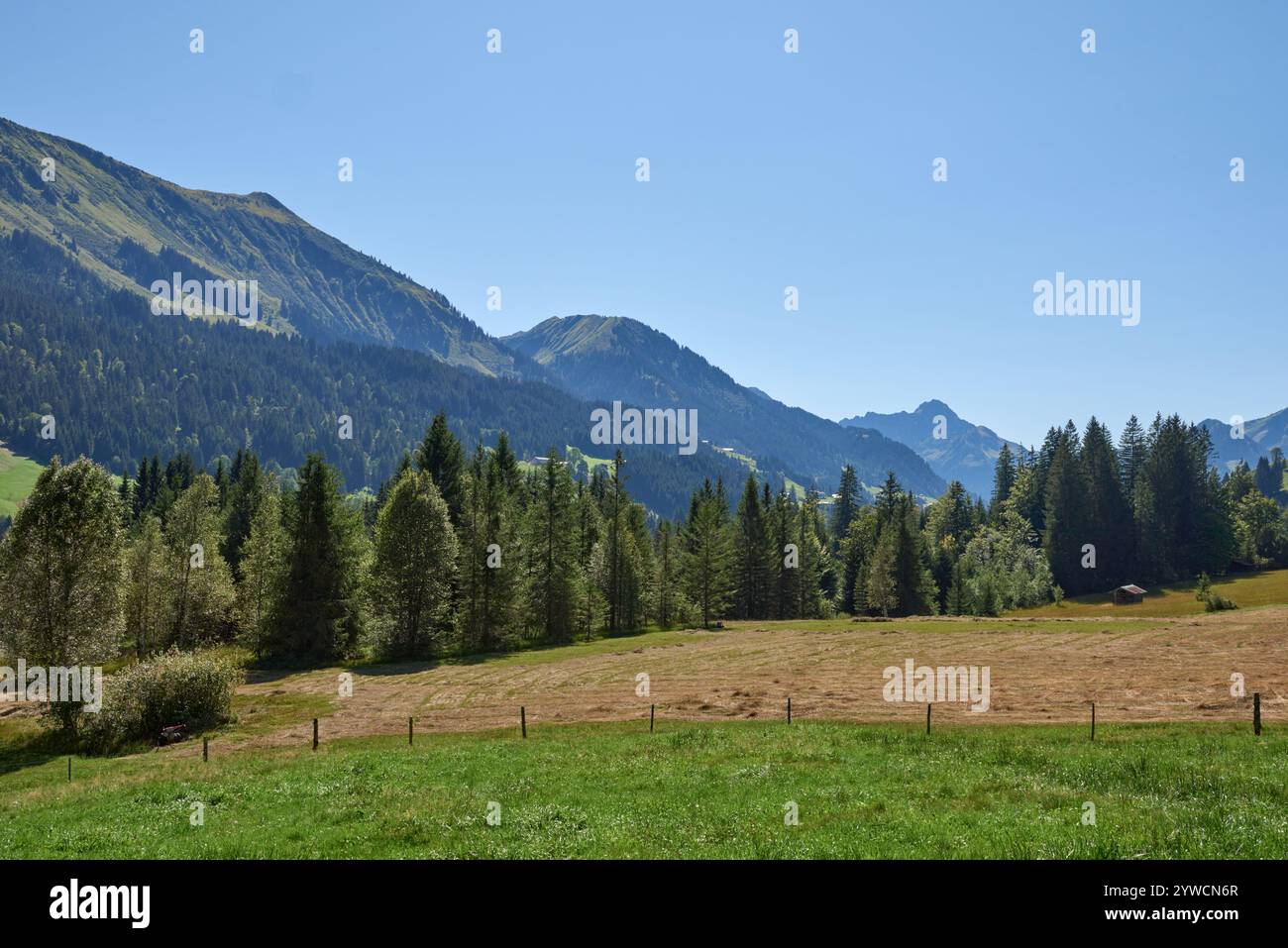 Pristine alpine meadow rolling hi-res stock photography and images - Alamy