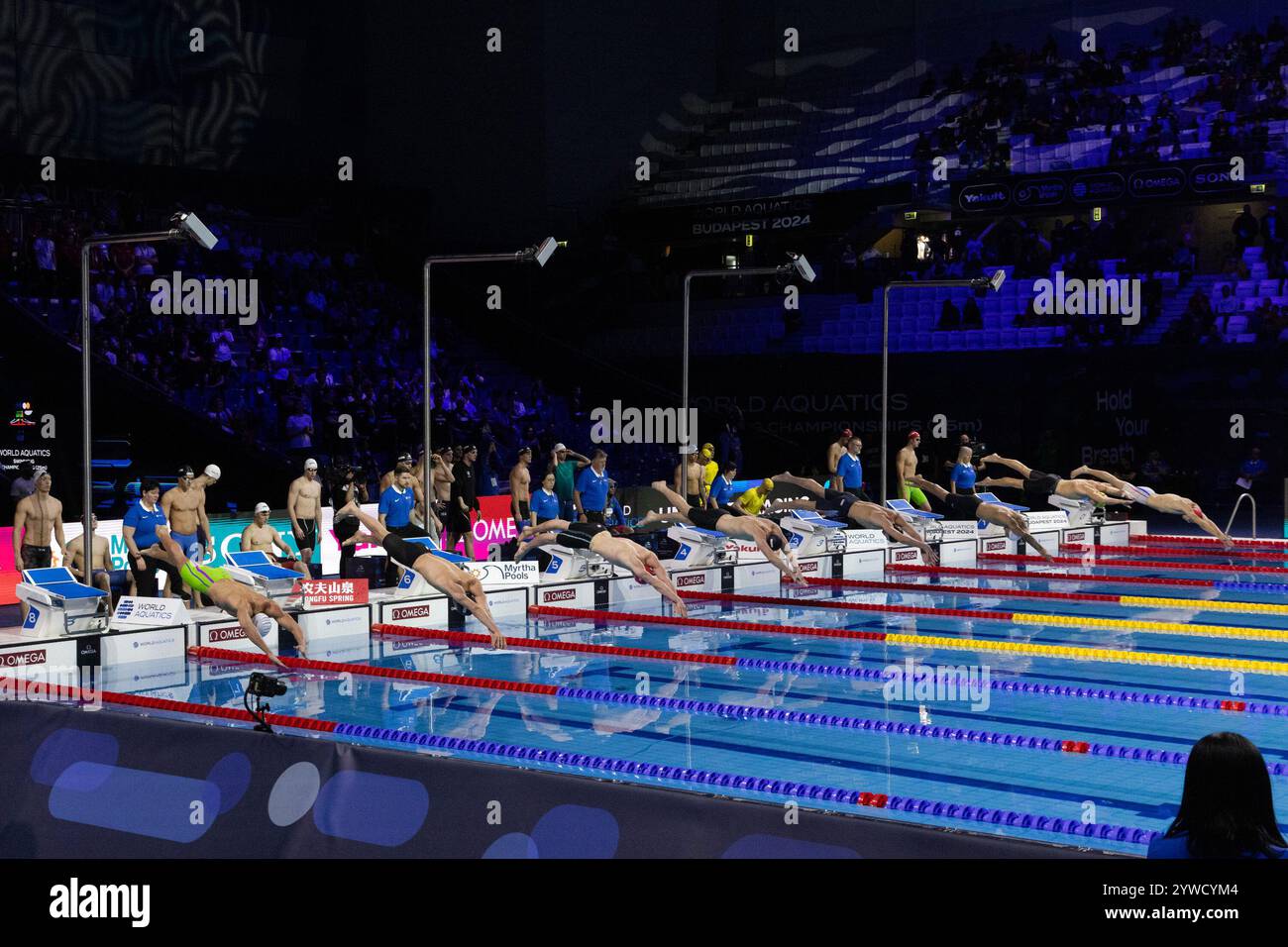 World aquatics swimming championships 25m budapest 2025 hires stock photography and images Alamy