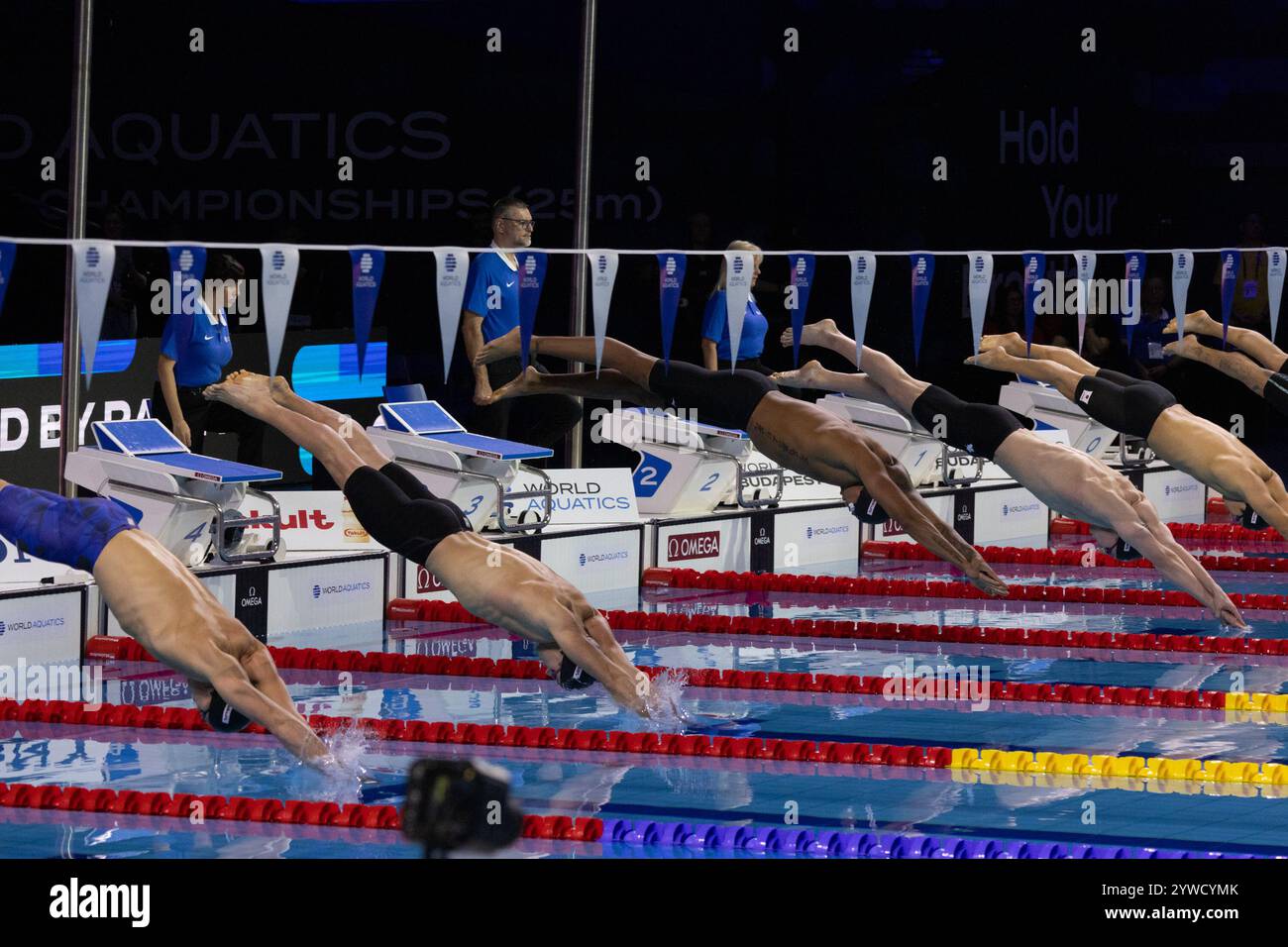 World aquatics swimming championships 25m budapest 2024 hires stock