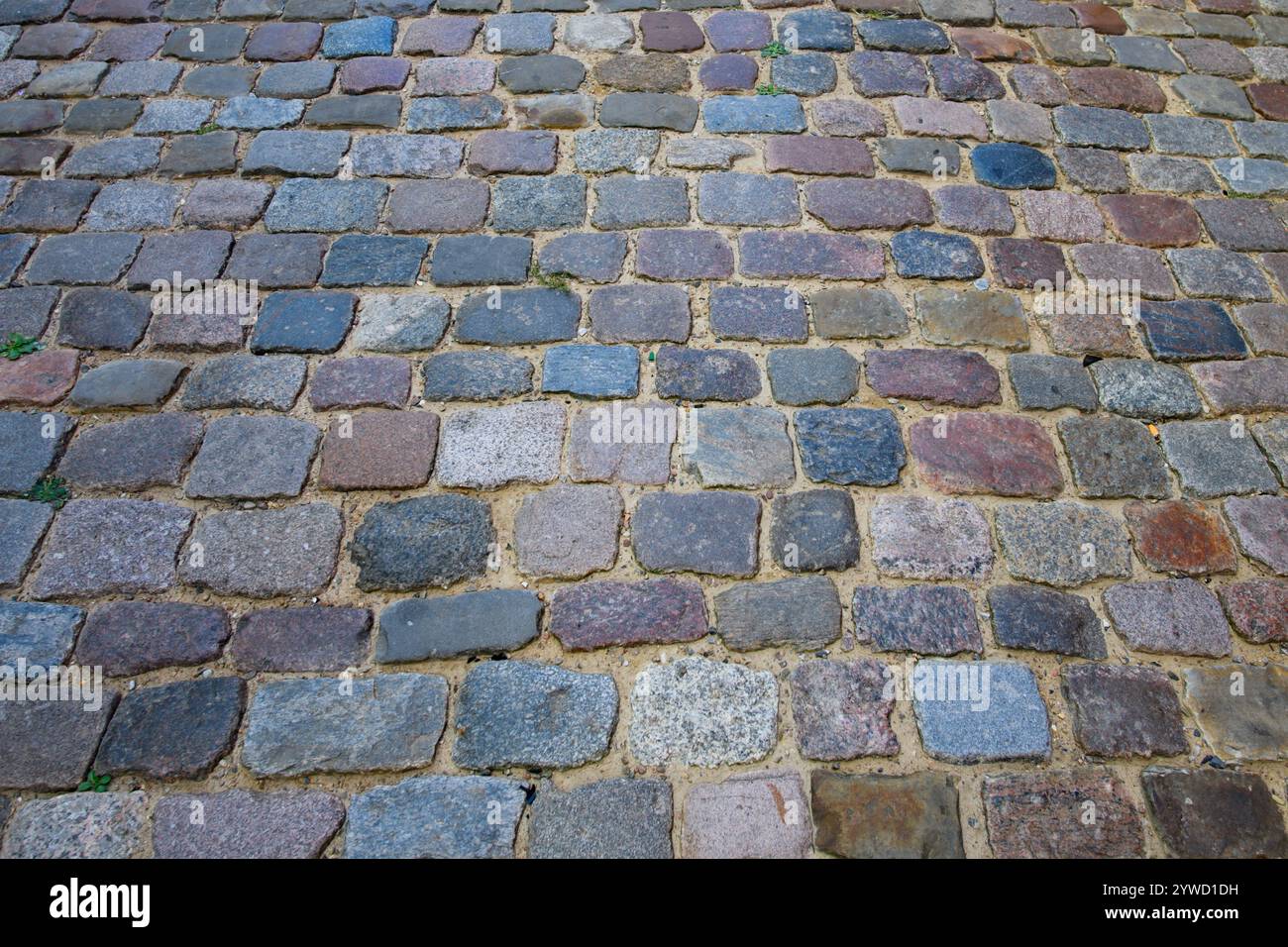 Stone pavement texture. Granite cobblestoned pavement background. Pavement texture Stock Photo