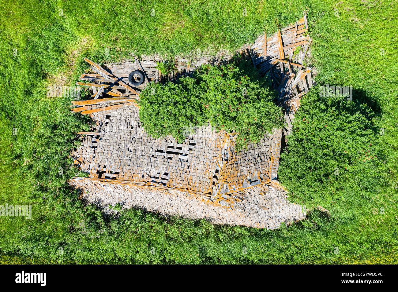 Aerial view of pile of wood hi-res stock photography and images - Alamy