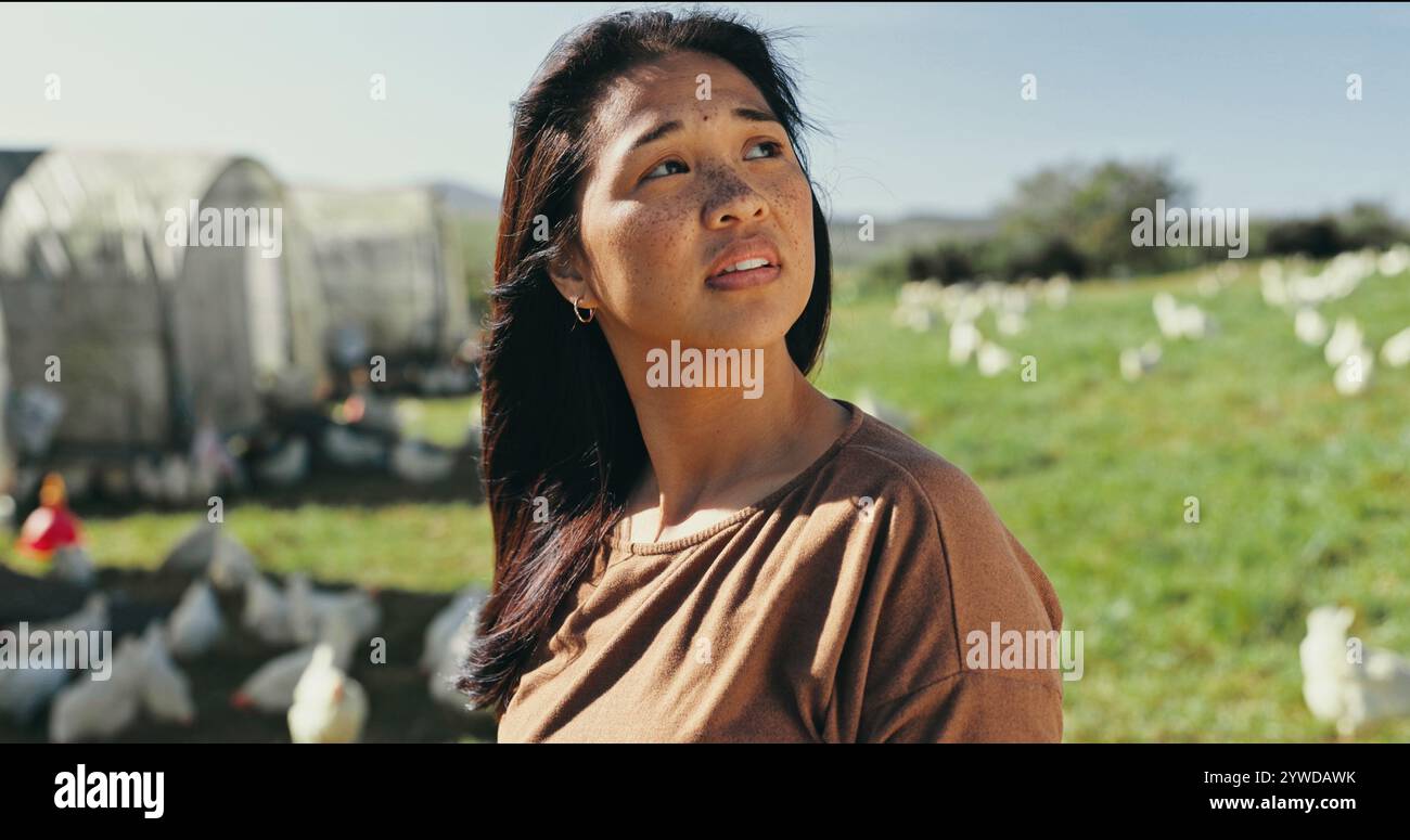 Woman, farmer thinking and chicken for livestock farming, producing and distribution. Female person, business and entrepreneur with ideas or vision Stock Photo