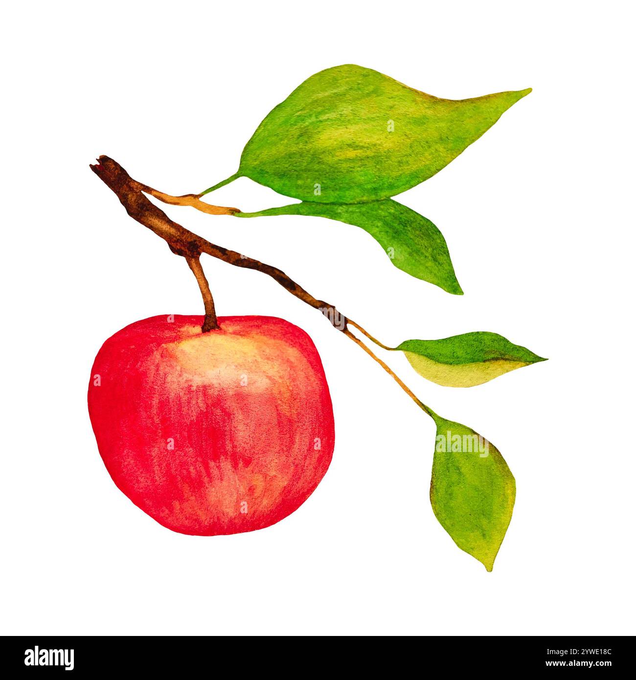 Whimsy Apple Design Whimsical sweet design hi-res stock photography and images - Alamy
