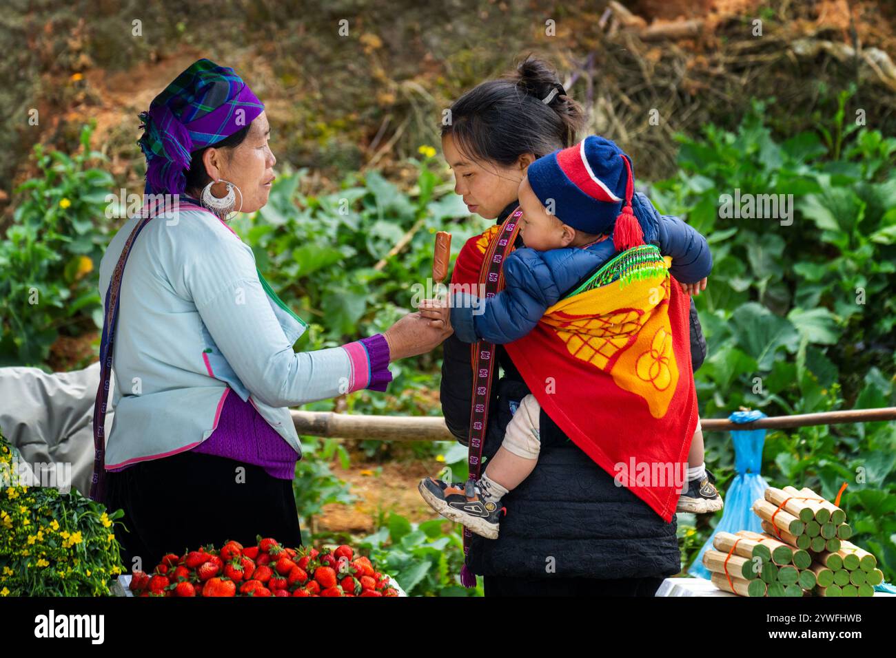 Sapa vietnam tribe hi-res stock photography and images - Alamy