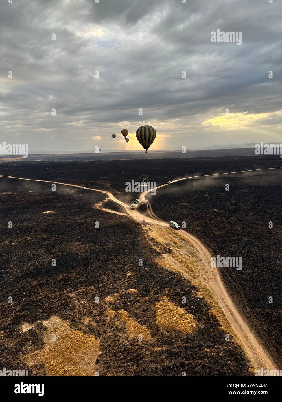 Captured the aftermath of a disastrous wildfire in the savannah of Maasai Mara National Reserve. Despite the ruin, I'm mesmerized by its vastness. - Smartphone Captured Stock Image