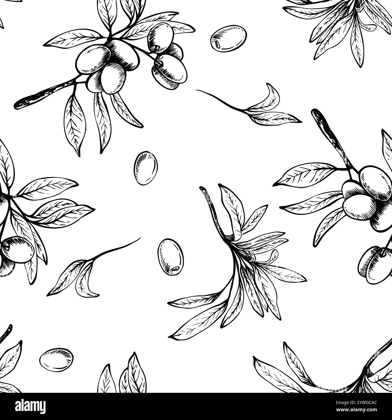 Olive tree branch with leaves and berries fruit vector seamless pattern ...