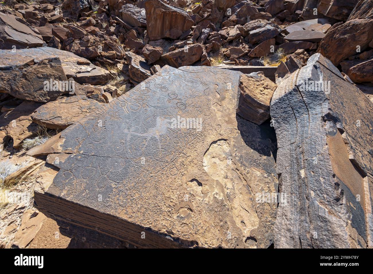 Depictions of animals on a rock slab, petroglyphs, rock engravings ...