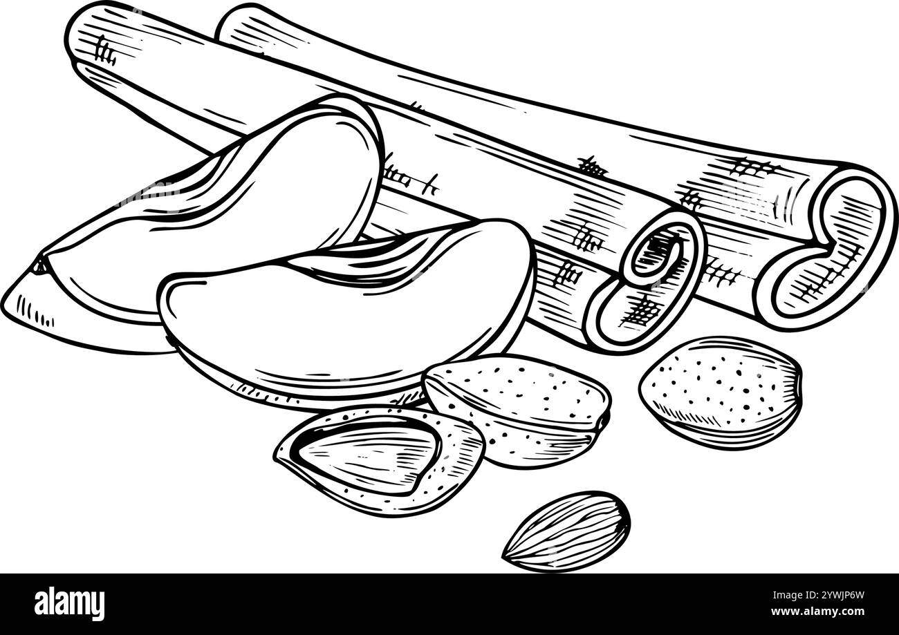 Almond, apple slice and cinnamon sticks heap vector isolated illustration clip art in black and white colors. Aromatic seasoning with fresh fruit Stock Vector