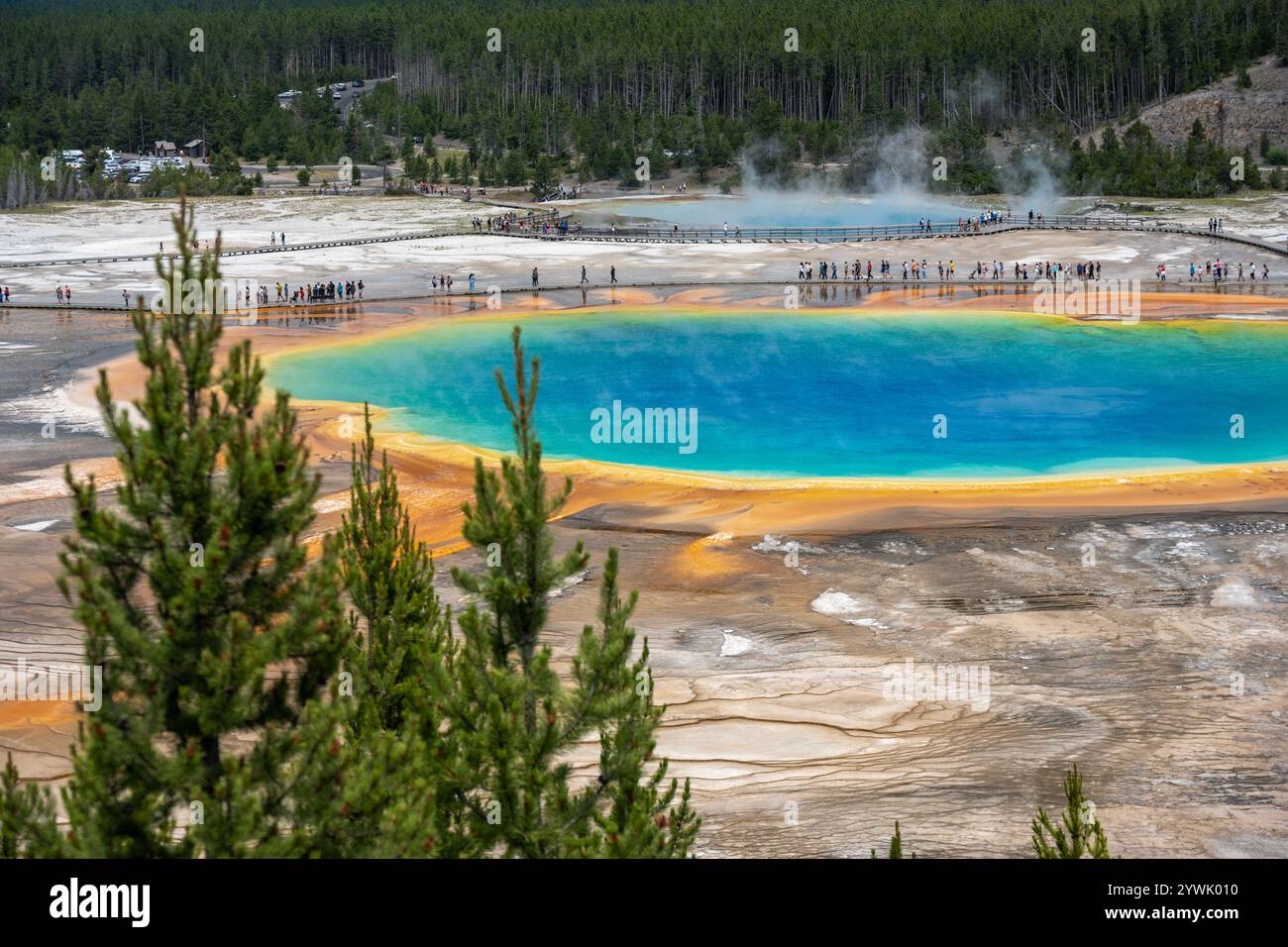 Yellowstone montana spring hi-res stock photography and images - Alamy
