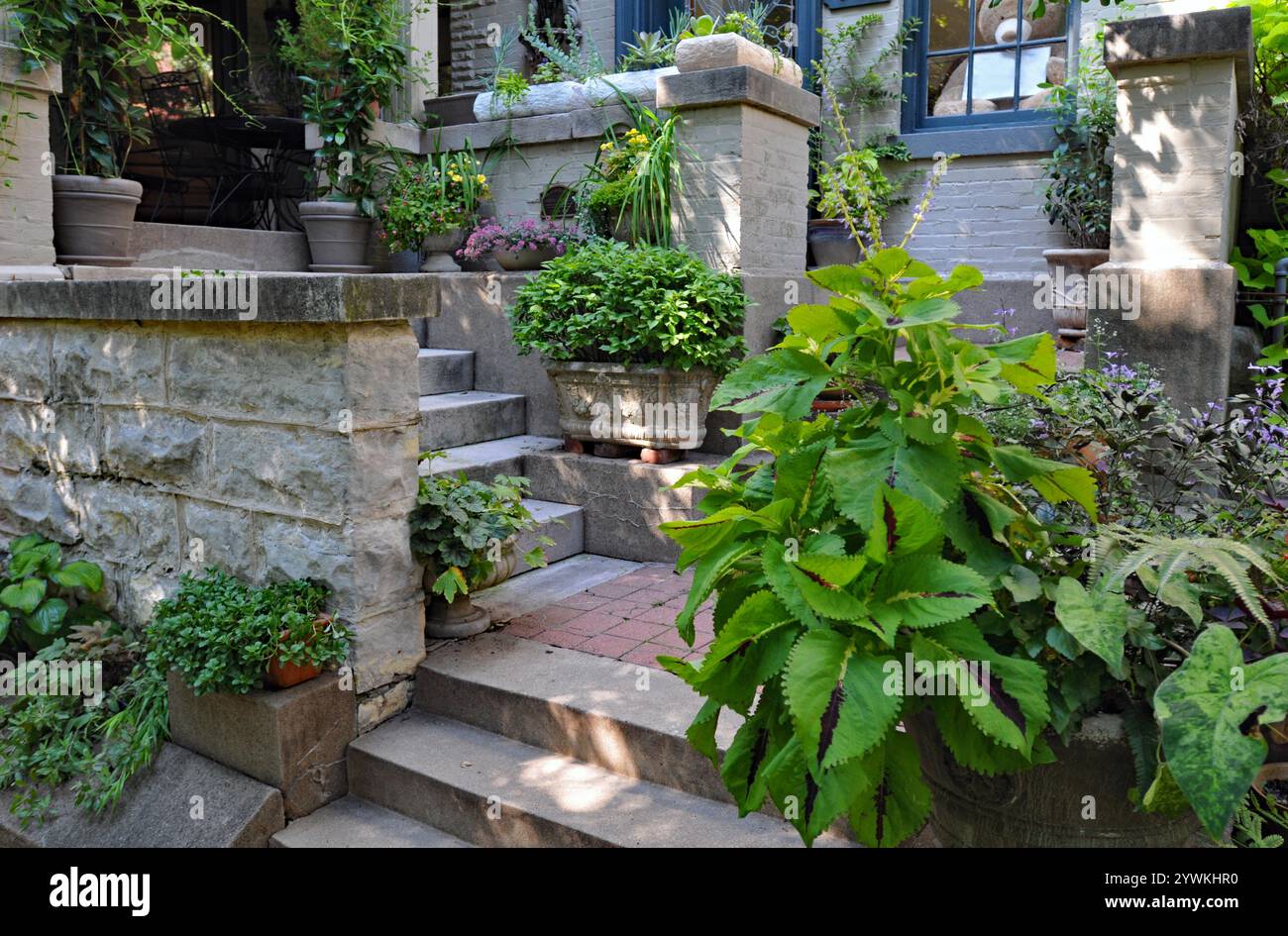 The front steps of a home in the St. James–Belgravia Historic District ...